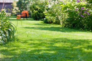 travaux jardin et paysage Lavardens